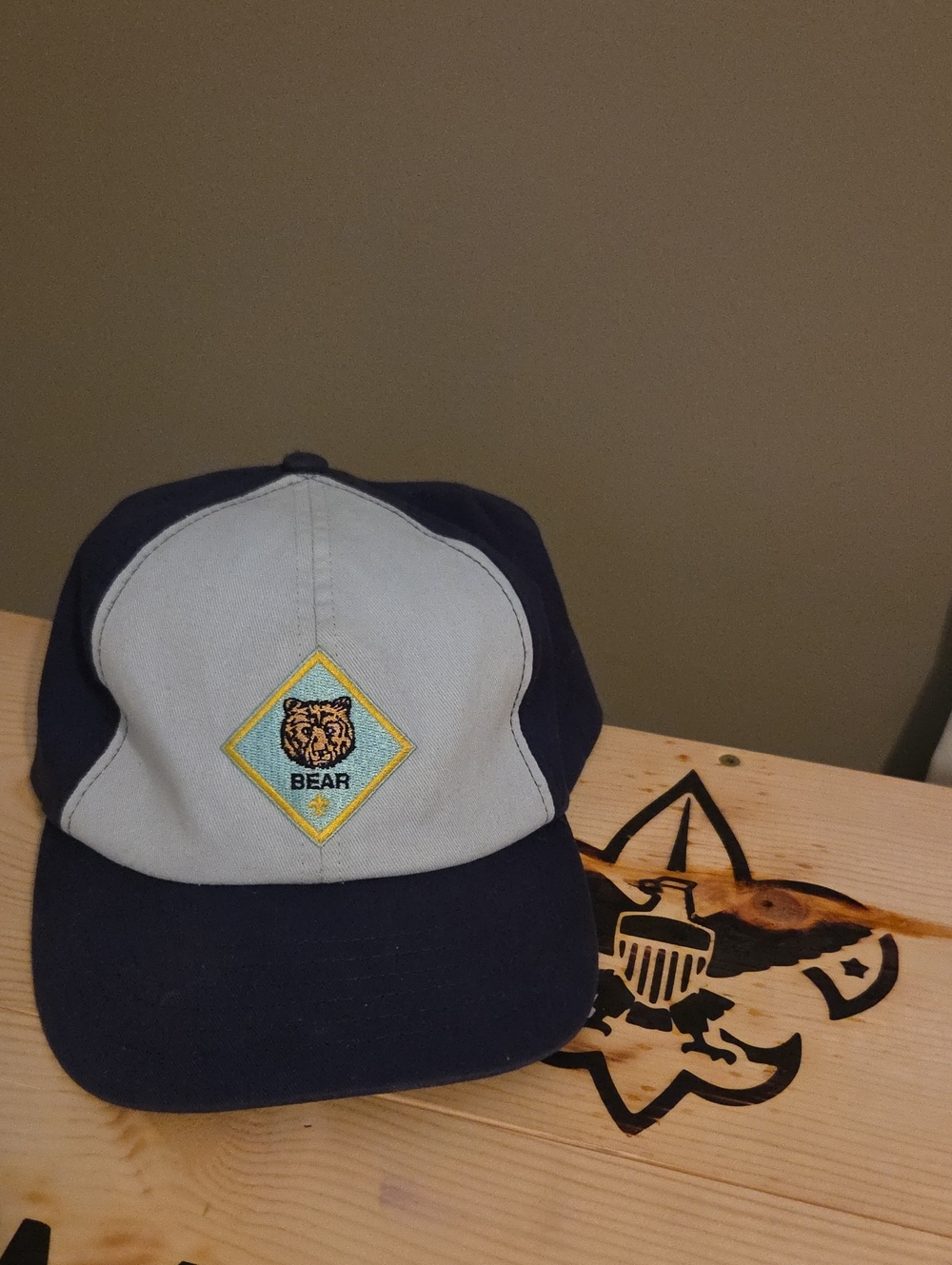 Cub Scouts Bear Hat